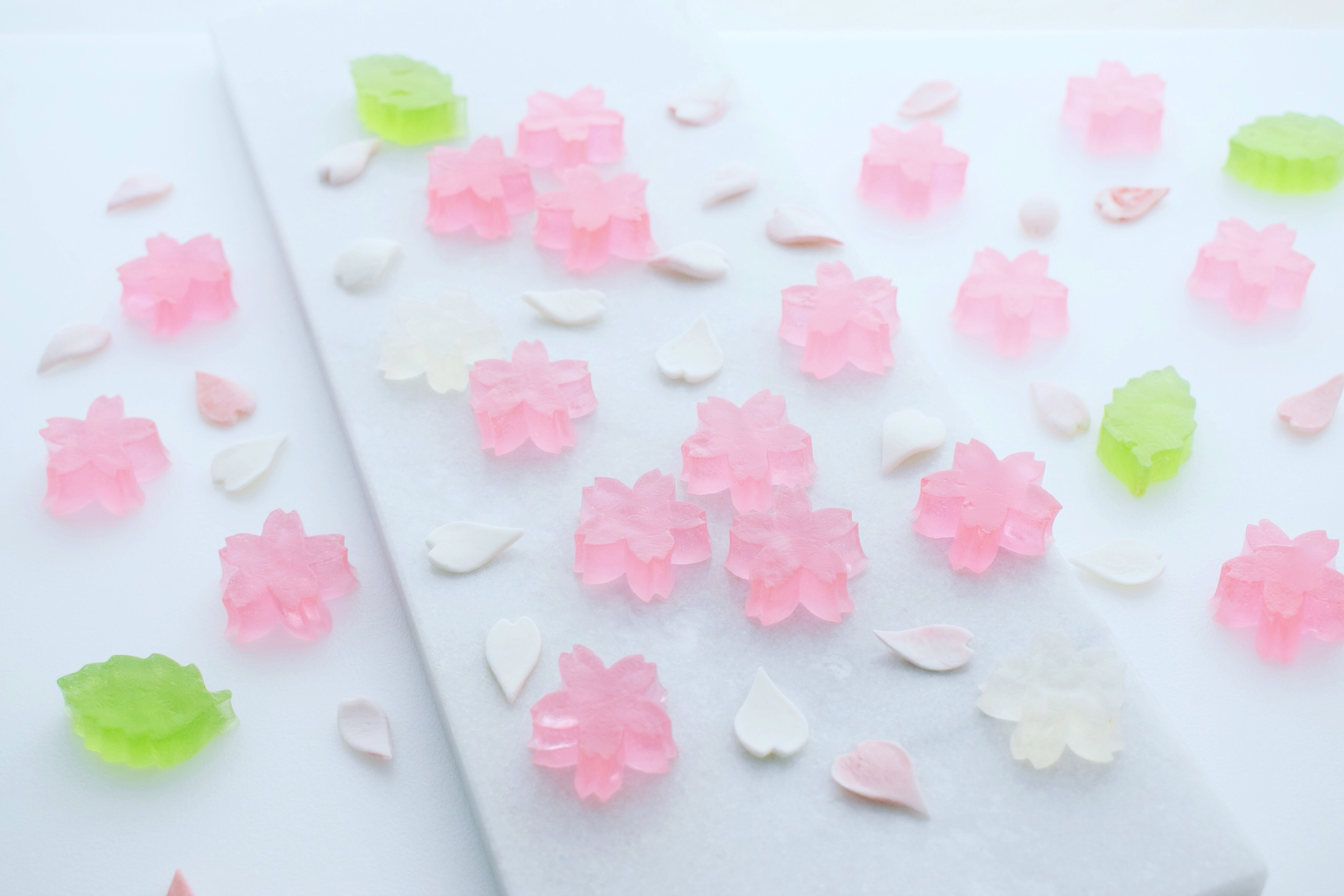 Japanese sweets Wagashi online shop USA wagashi studio