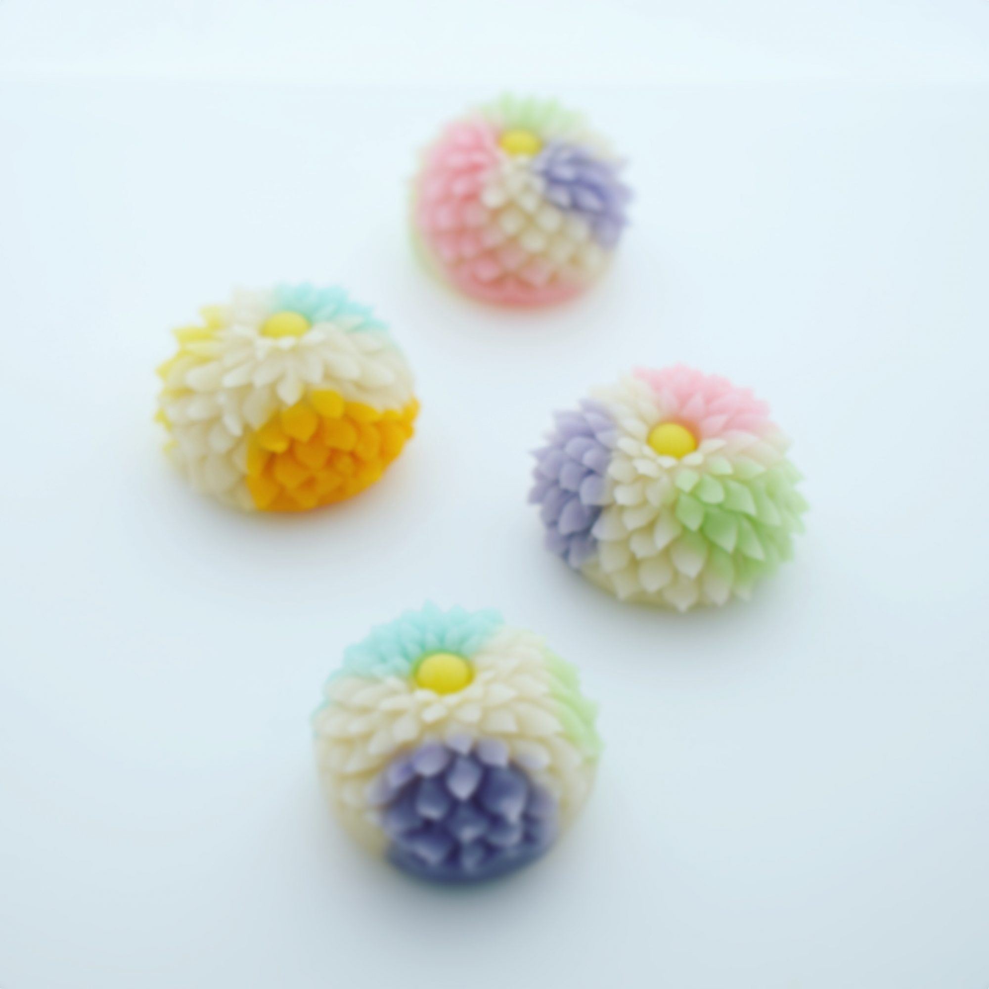 練り切り　菊　Chrysanthemum