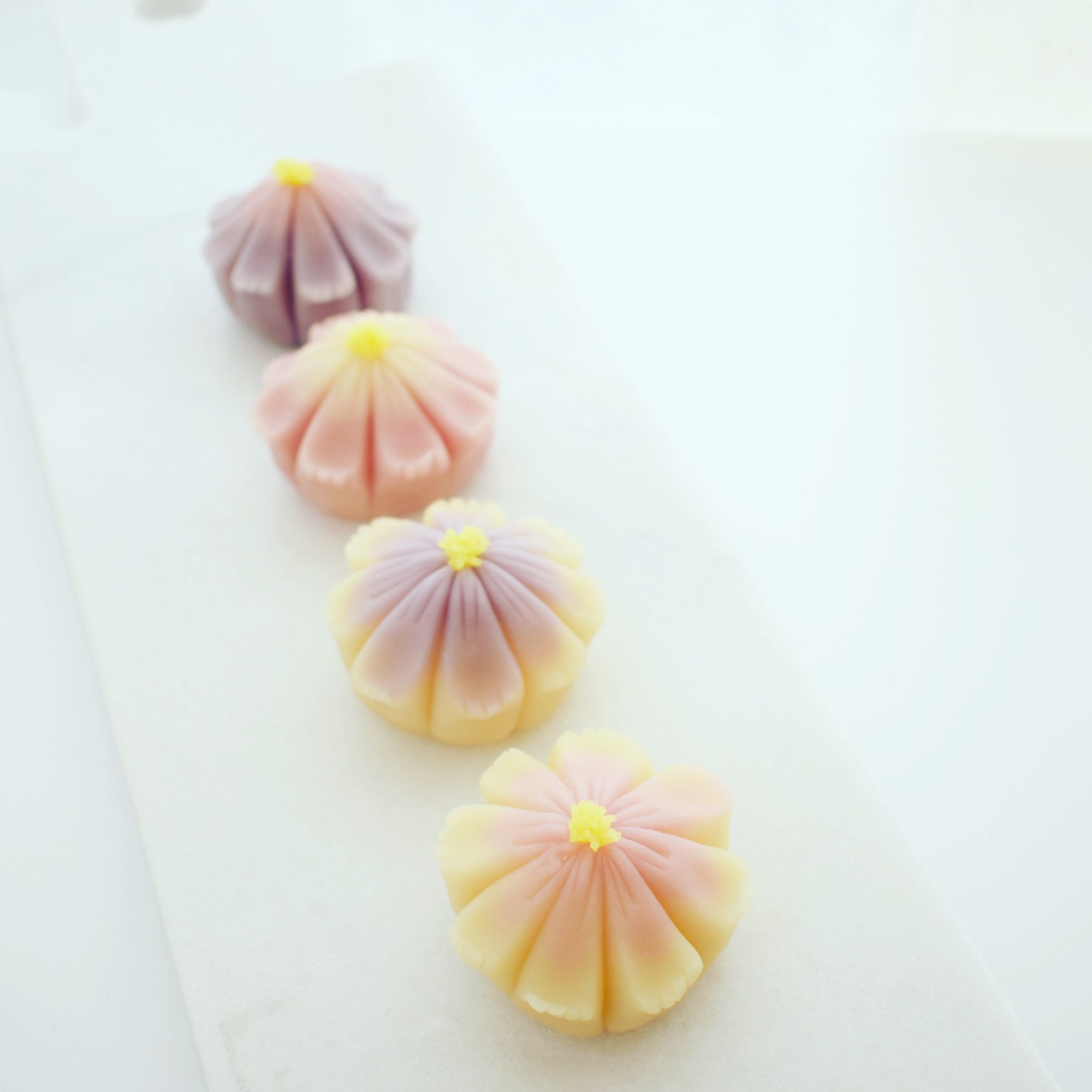 nerikiri 練り切り　コスモス