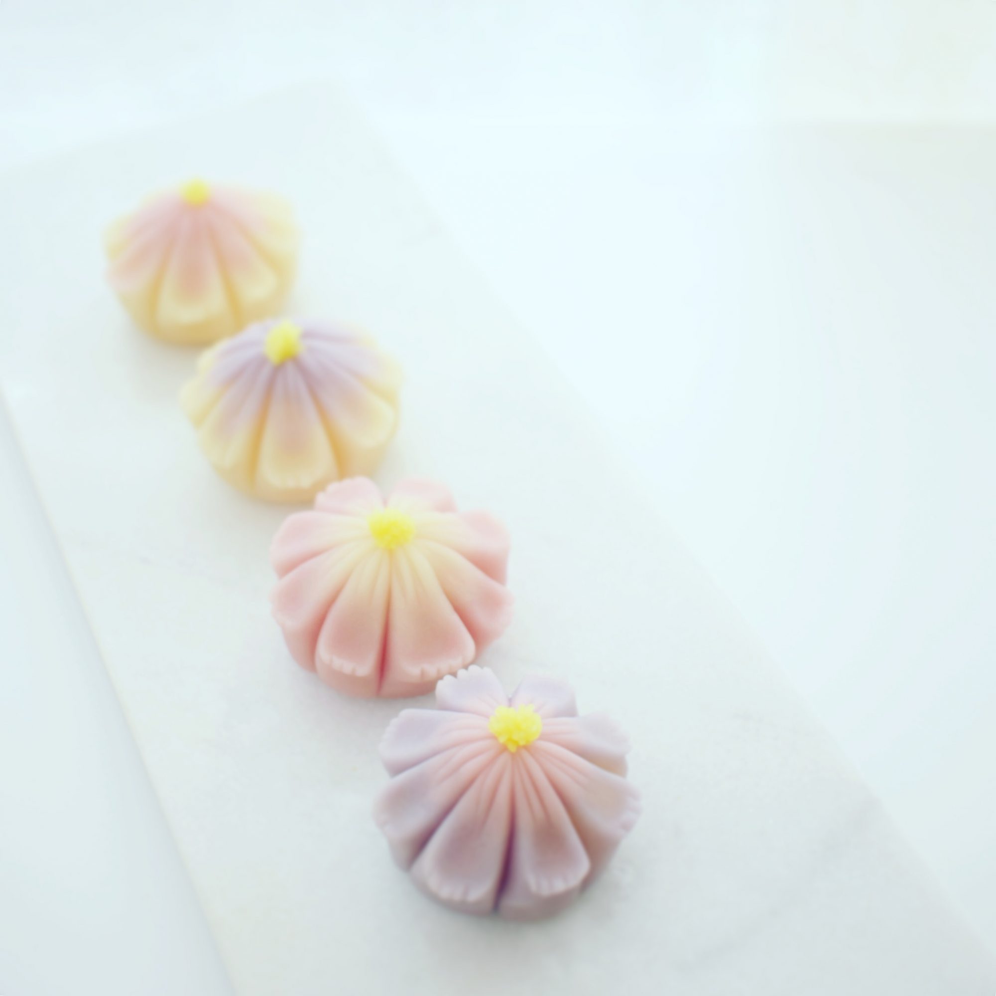 nerikiri 練り切り　コスモス