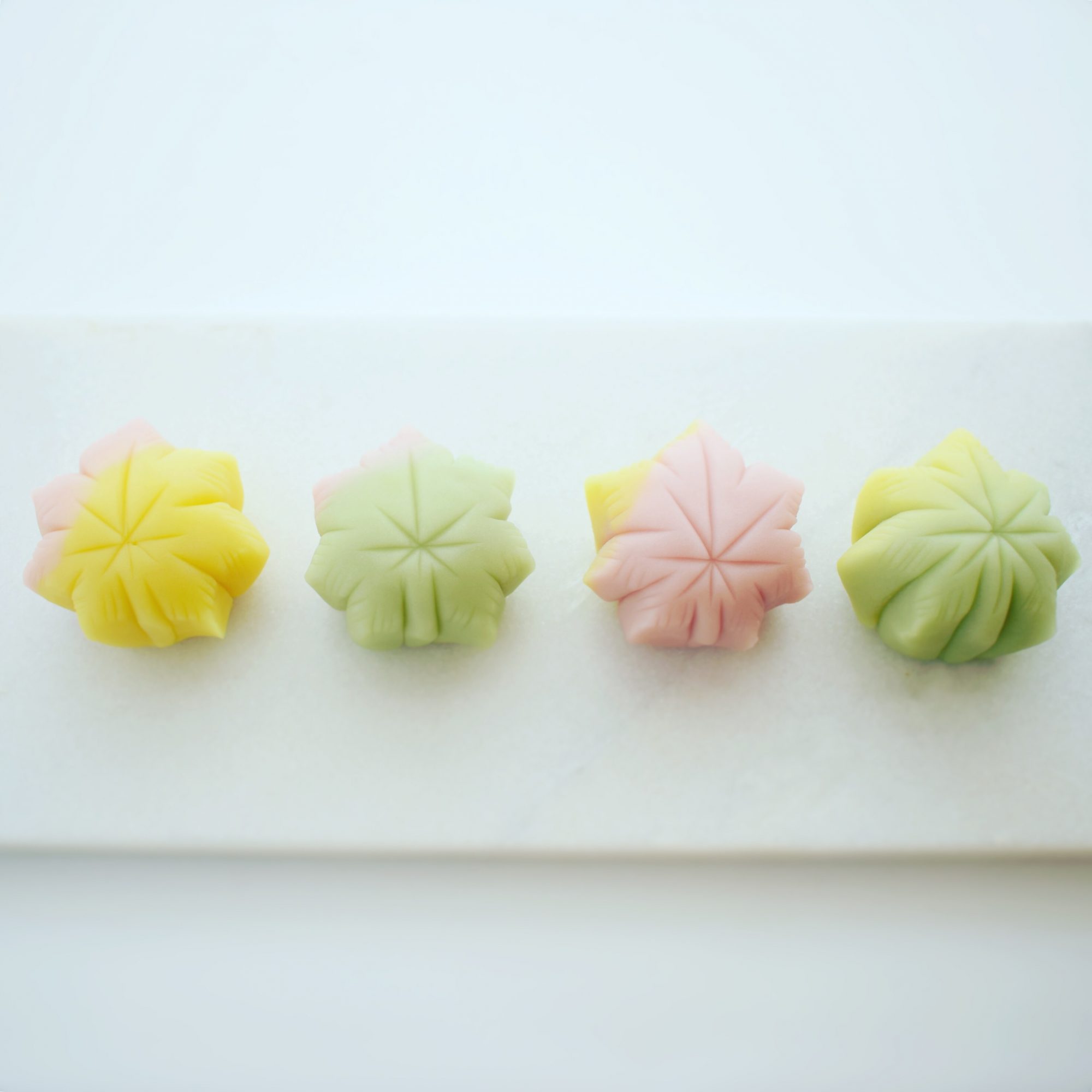 nerikiri 練り切り　紅葉