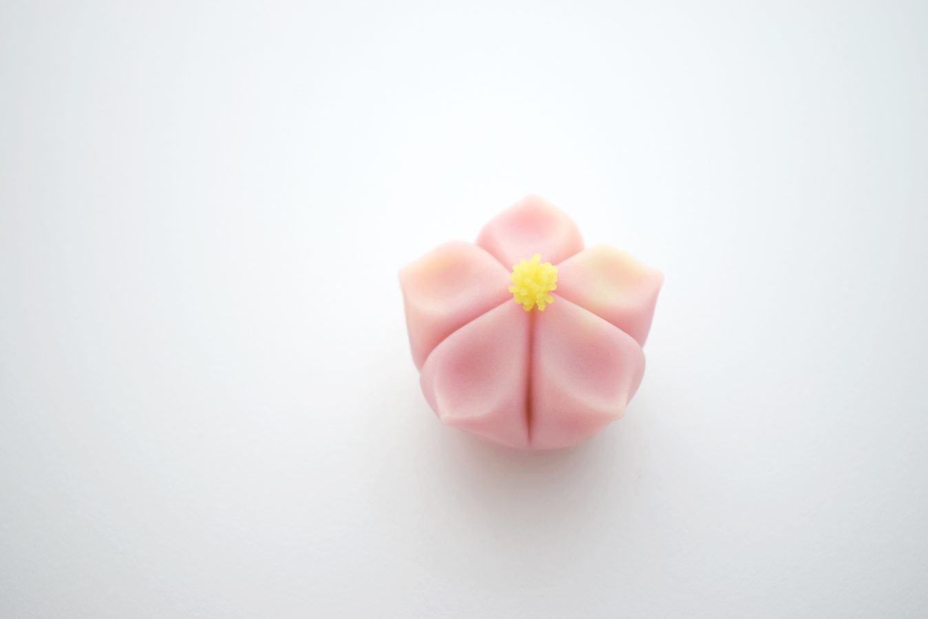 peach blossom 桃の花　練り切り