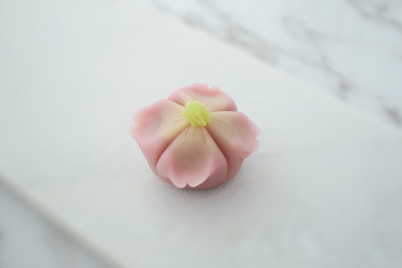 練り切り　ハナミズキ