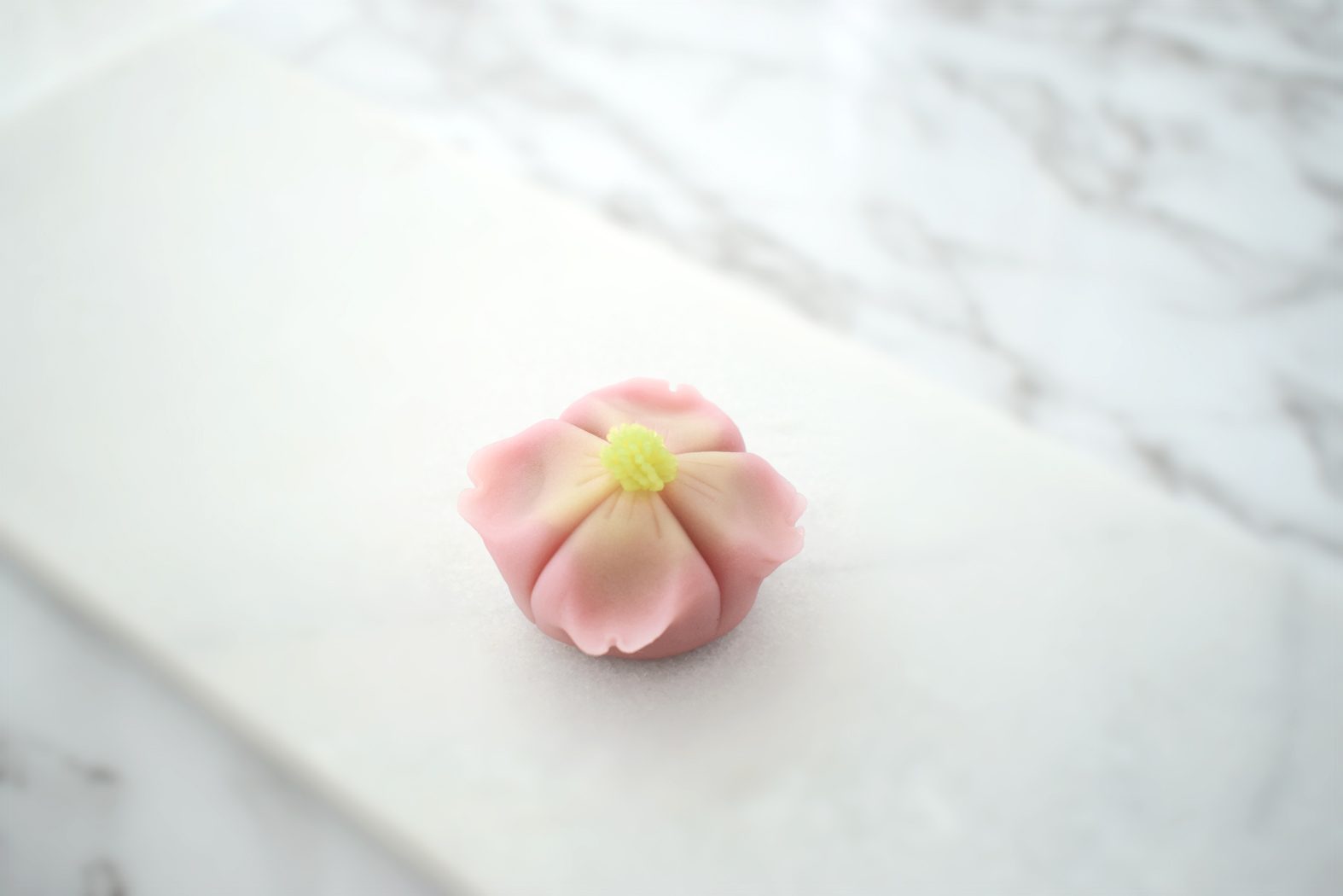 練り切り　ハナミズキ