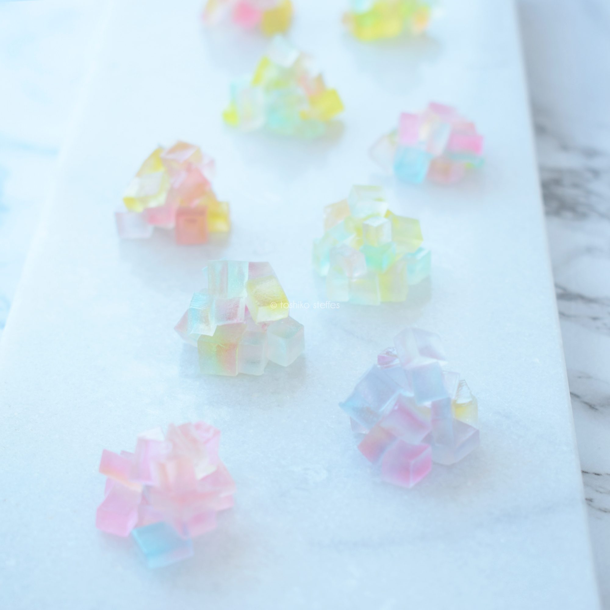 Hydrangea　紫陽花