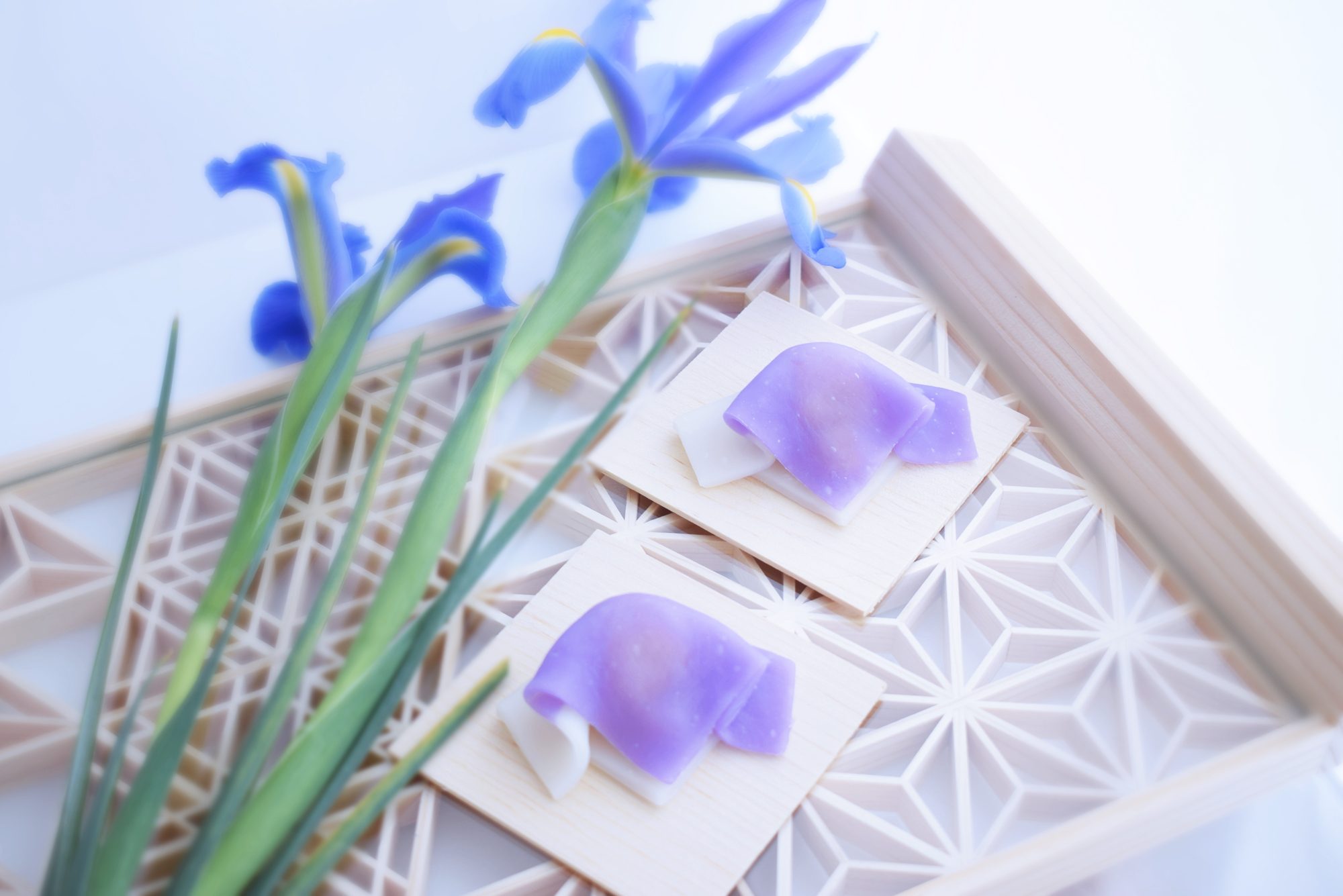 Iris　カキツバタ