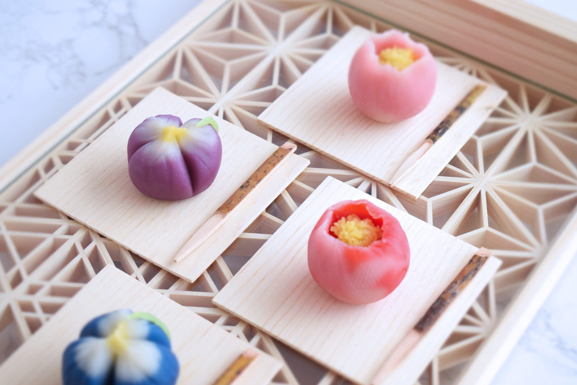 日本クラブ　芍薬　花菖蒲