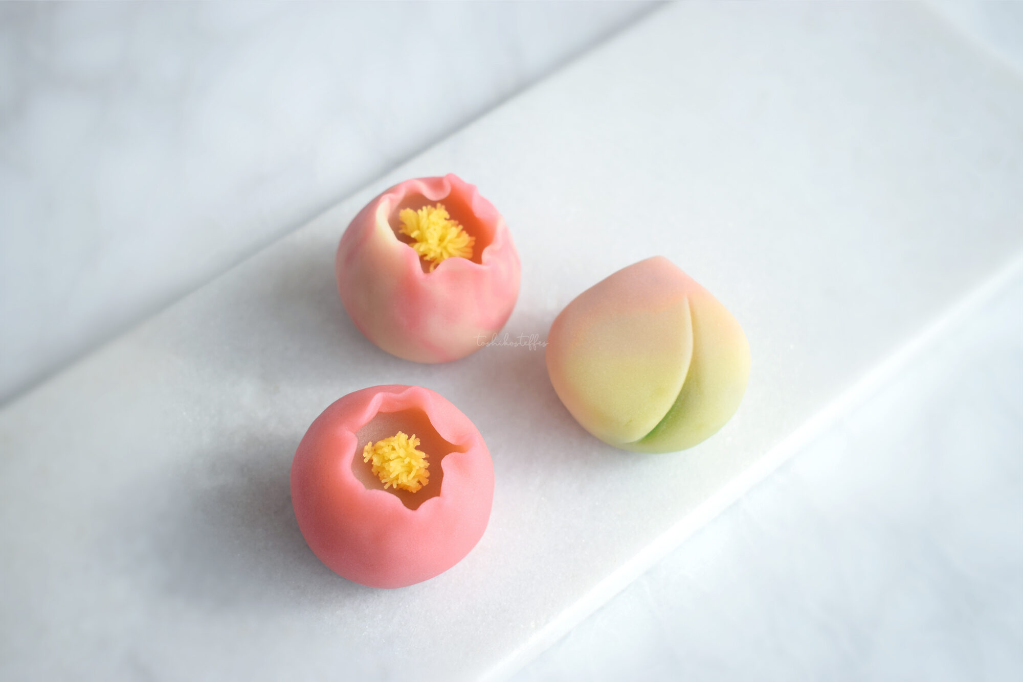 桃花 peach blossom