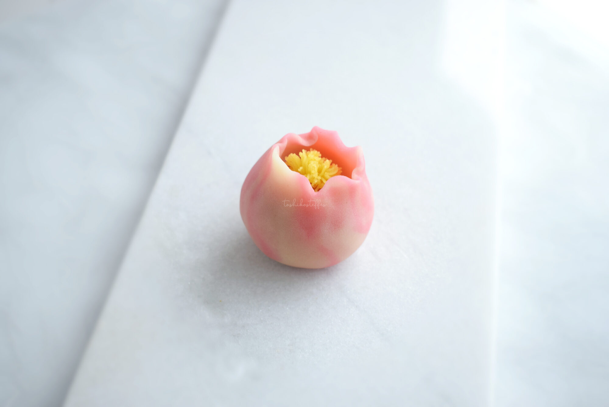 桃花 peach blossom