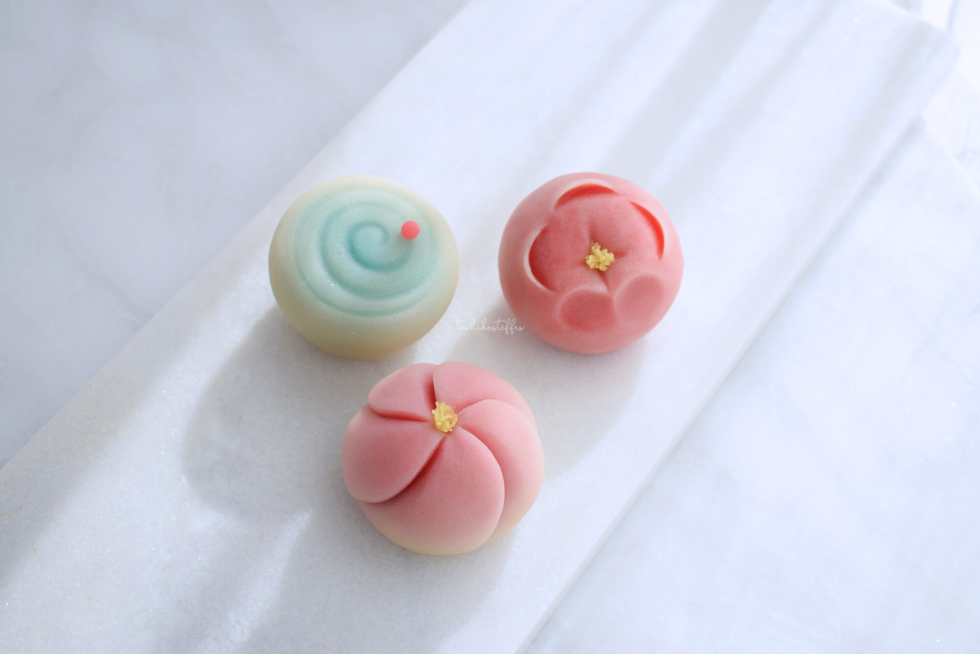 Plum blossom ねじり梅　福梅　雨水