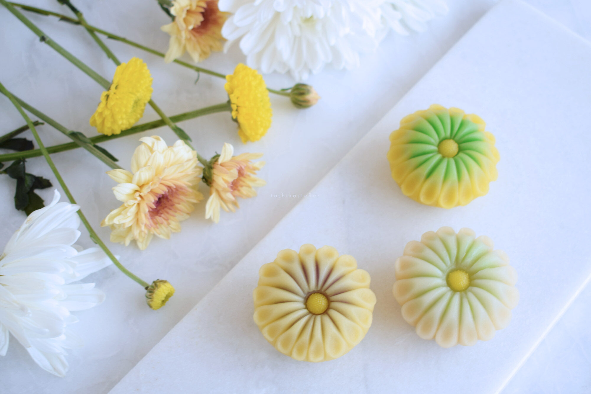 生け花インターナショナル